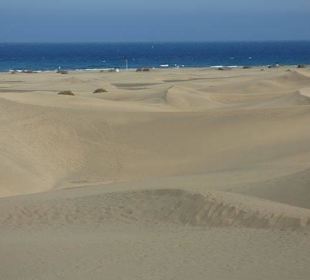 Dünenlandschaft