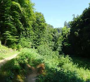 Wanderung durch die Kleine Luxemburger Schweiz
