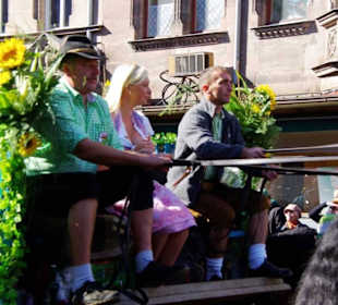 Ammerdorfer Bier 6er Span