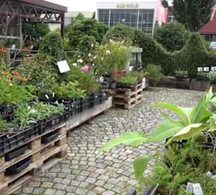 ALB-GOLD Naturgarten