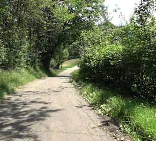 HAP Grieshaber Rundweg