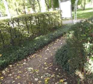 Französischer Garten