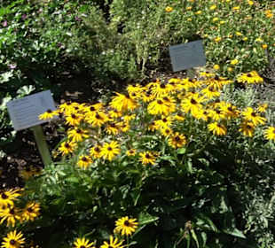 Klosterkirche Maria Gnadenzell