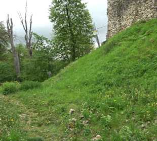 Ruine Burg Kaltenburg