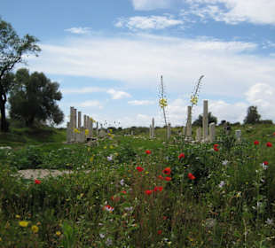 Historische Ausgrabungsstätte Side