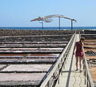 Salinas del Carmen