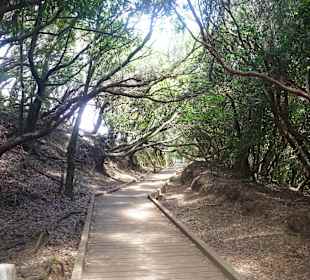 Hier macht Wandern Spaß!