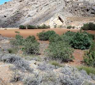Am versandeten Stausee des Vega de Rio Palmas