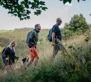 Wandern Dienten