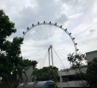 Eye of Singapur 