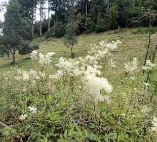 Wandern Schenkenzell