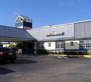 Ein typischer Red Lobster