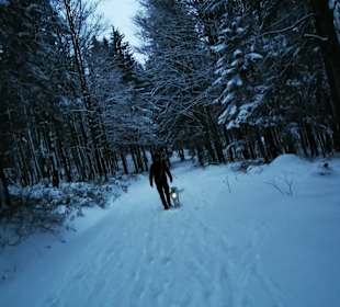 Wandern Mitterfirmiansreut