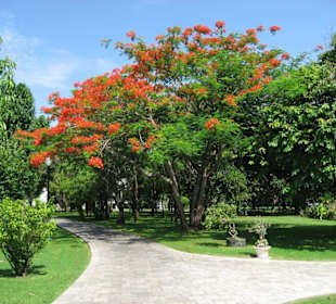 Park im Sommerpalast in Bang Pa-In