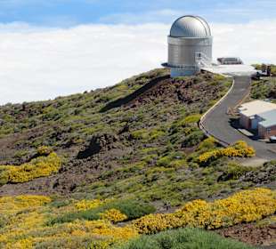 Inselrundfahrt La Palma