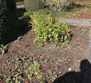 Rosengarten