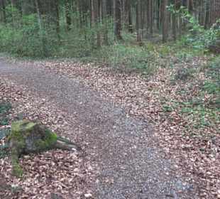 Martinsberg-Tour