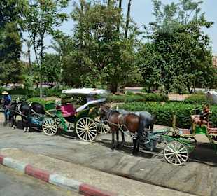 Dorożki na stary mieście