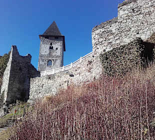 Burg