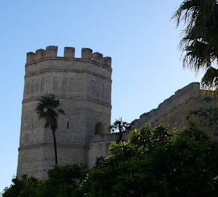 Excursión a Jerez