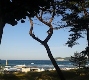 Wandern Binz auf Rügen