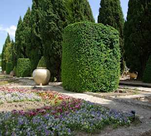 Der botanische Garten von Balchik