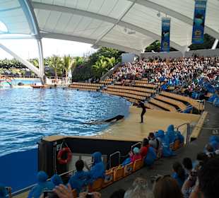 Loro Parque 