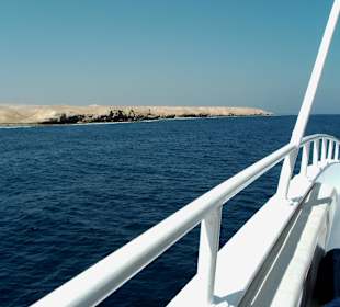 Aussicht zum genießen