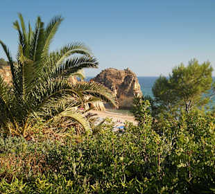 Für Fotografier-Fans bestens geeignet