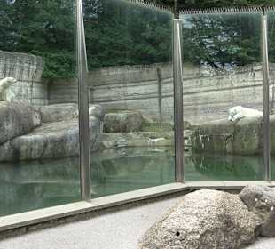 Tierpark Hellabrunn