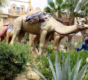 Medina Hammamet-Yasmine