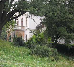 Muzeum Henryka Sienkiewicza Oblęgorek