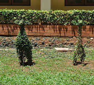 Tiger Cave Tempel (Wat Tham Sua)