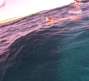 Schnorcheln Marsa Alam