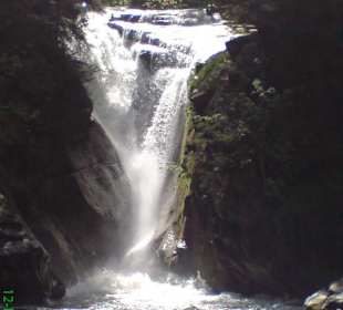 Park mit schönem Wasserfall