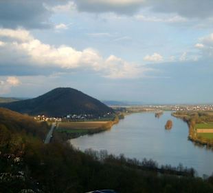 Blick auf die Donau