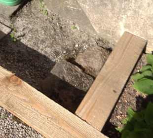 Arzneipflanzengarten Klosterreichenbach