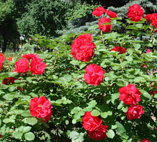 Москва - Кремль