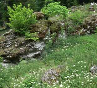 Tiefental Aichstetten