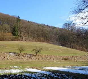 Acker- und Weideflächen am unteren Bärental