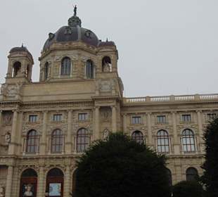 Музей истории искусств