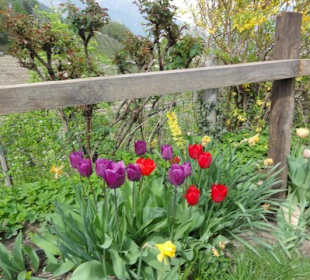 Frühlingsgruß vom Haidenhof