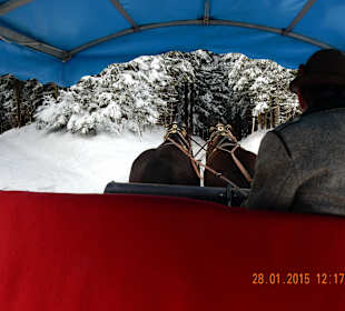 Pferdeschlittenfahrt