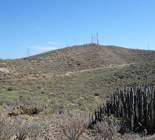 Der Gipfel ( 428 m Hoch ) in Sicht