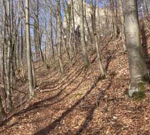 Burgruine Hohenwittlingen