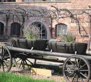 Innenstadt Bad Bergzabern