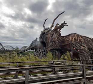 Heidepark Soltau in Soltau