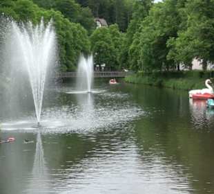 Stadtpark Kleb