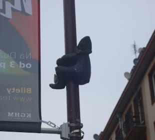 Krasnal Stare Miasto Wrocław