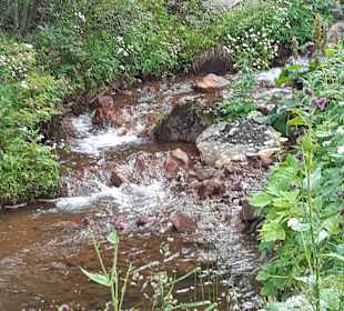 Wandern Turracher Höhe